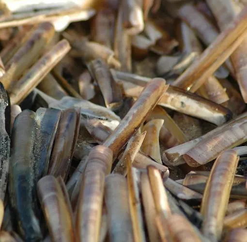 Szálloda De Golf 2*